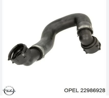 Opel insignia 1.6 Turbo 170 BG (A16HXT) Radyatör Çıkış Hortumu Orjinal GM