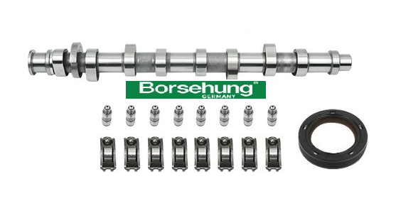 Volkswagen Golf 5 2005 - 2008 1.6 BSE Eksantrik Mili Tapet Ve İtecek Takımı Borsehung Marka